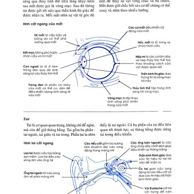 Bên Con Khi Con Đau Bệnh