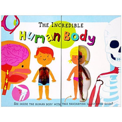 The Incredible Human Body - My First Human Body Book - New Version