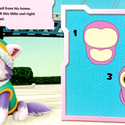 Paw Patrol Girls Learning Series