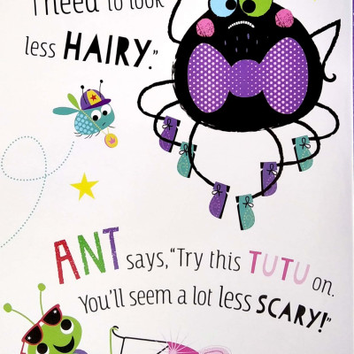 The Not-So-Scary Hairy Spider