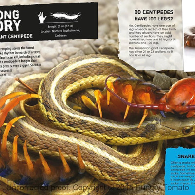 Sách tiếng Anh - Real Life Monsters : Creepy Crawly Creatures