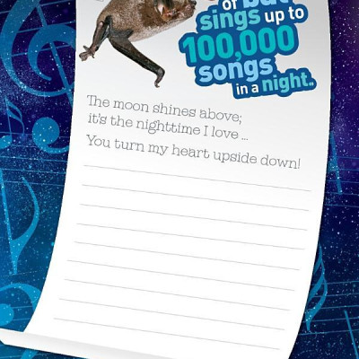 Weird But True! 4: Wild And Wacky Sticker Doodle Book