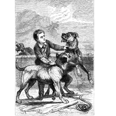 Sách - Gia Đình Robinson Thụy Sỹ - Bìa Vải