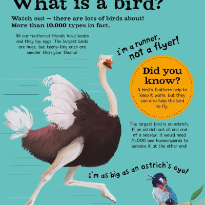 Wow! Look What Birds Can Do!