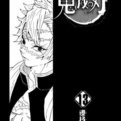 鬼滅の刃 13 - ONI METSU NO HA 13