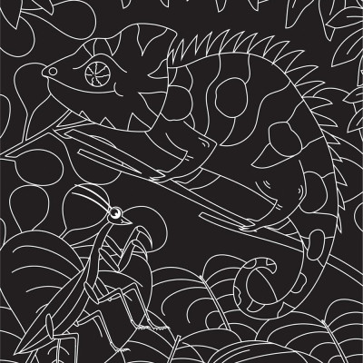 Scratch & Colour Animals