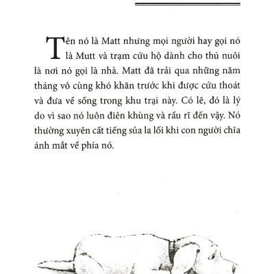 Chú Chó Lạc Quan