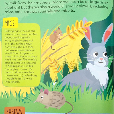 Know And Glow: Animals Sticker Activities