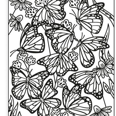 Butterflies Magic Painting Book