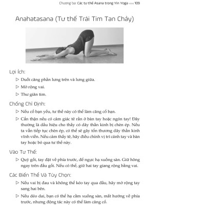 Sách Yin Yoga – Tâm yên bình, đẹp dáng xinh