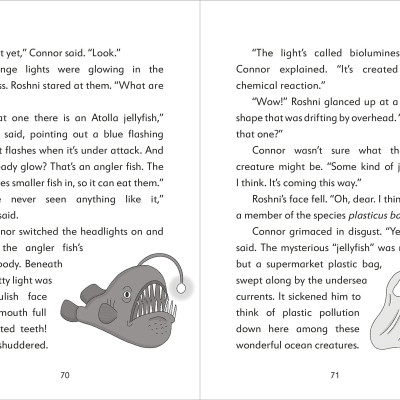 The Secret Explorers And The Lost Whales