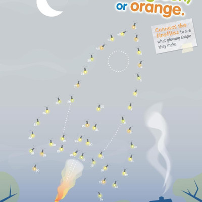 Weird But True! Cool And Crazy Sticker Doodle Book