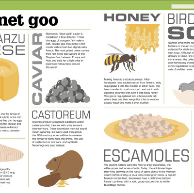 The Science Of Goo!: From Saliva And Slime To Frogspawn And Fungus