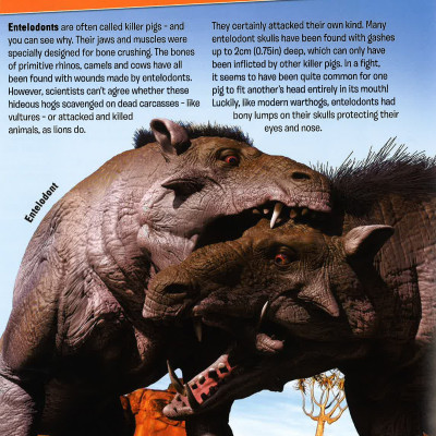 Sách tiếng Anh - Evolution - The Story Of Life On Earth