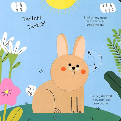 Rabbit (My Little Green World 5)