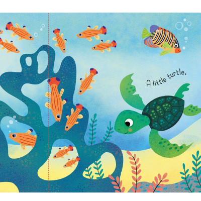 Little Lift And Look Under The Sea