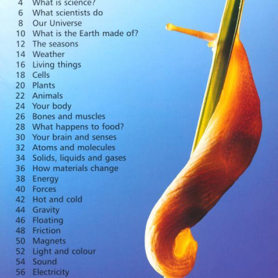 Sách tiếng Anh - Usborne First Encyclopedia of Science