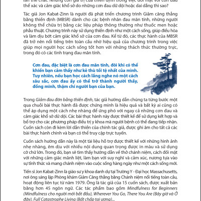 Giảm Đau Đớn Bằng Thiền Định