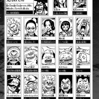 One Piece 96