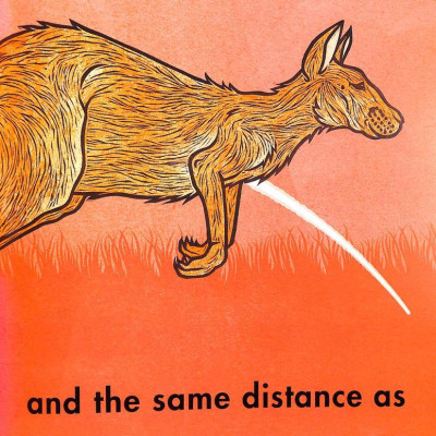 How Far Can A Kangaroo Jump?