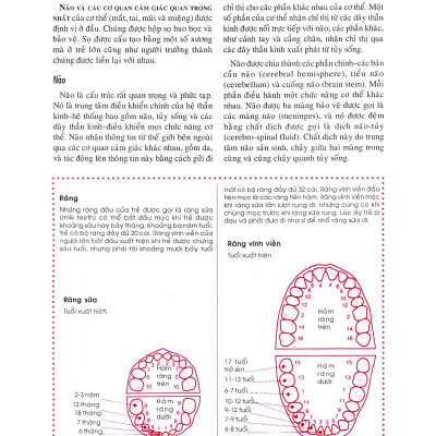 Bên Con Khi Con Đau Bệnh