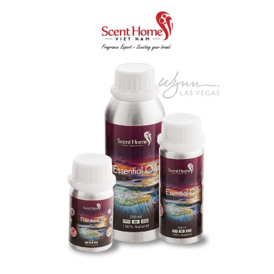 Tinh dầu Scent Homes - mùi hương (Wynn Casino)