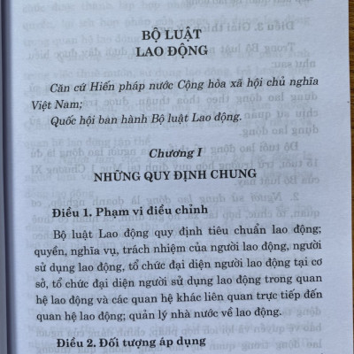 Bộ Luật Lao Động ( Hiện hành ) 