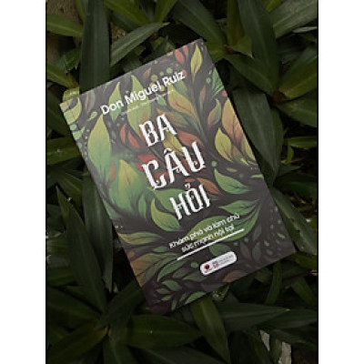 Sách - Ba Câu Hỏi - Khám Phá Làm Chủ Sức Mạnh Nội Tại