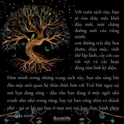 Green Withcraft - Năng lượng từ thảo mộc - Paige Vanderbeck