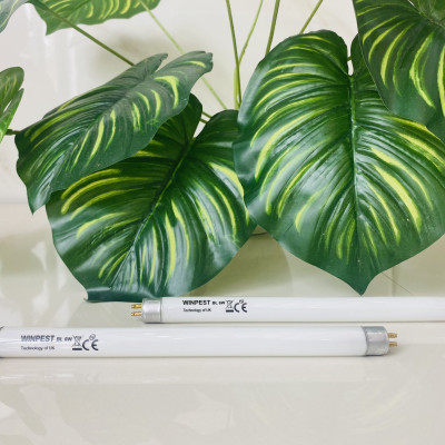 Bóng đèn thu hút côn trùng WINPEST 6W