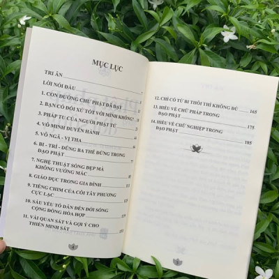 Sách - Phật Pháp Trong Đời Sống - Ni sư Pháp Hỷ