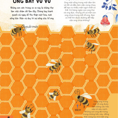 Sách - 70++ Trò Chơi Giúp Em Khám Phá Thế Giới - Mê Cung