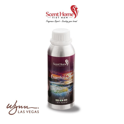 Tinh dầu Scent Homes - mùi hương (Wynn Casino)