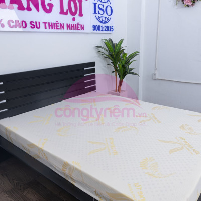 Nệm cao su TL Gold Latex phẳng Tundo 