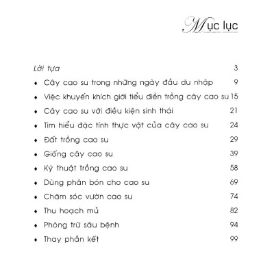 Kỹ Thuật Trồng Cây Cao Su Với Diện Tích Nhỏ