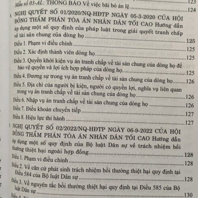 Hệ thống các nghị quyết của Hội đồng Thẩm phán Tòa án nhân dân tối cao về dân sự và tố tụng dân sự từ 1990-2023