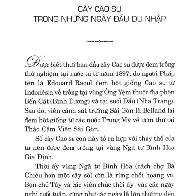 Kỹ Thuật Trồng Cây Cao Su Với Diện Tích Nhỏ
