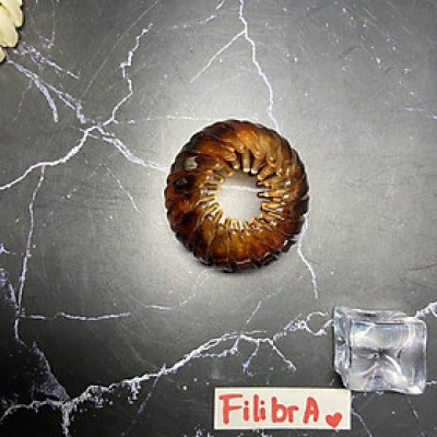 Kẹp tóc tổ chim nhựa đa năng, cặp búi tròn phong cách Hàn Quốc, phụ kiện tóc KT020 - Filibra