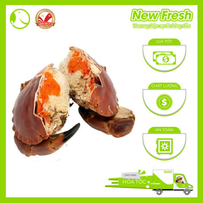 [GIAO NHANH HCM] Cua Nâu Nauy Siêu Gạch Đông Lạnh - 1 Con 500Gr