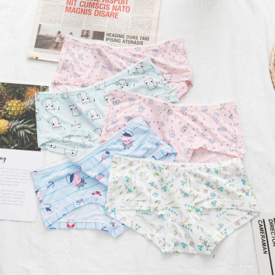Bộ 10 Quần Lót Nữ Su Họa Tiết - Chất Vải Mềm Mịn Dịu Nhẹ Cho Da (dành cho nàng từ 40-55kg)