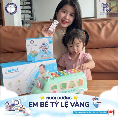 Đồ chơi Xe bus thả hình khối kết hợp đàn gõ Xylophone Bioamicus