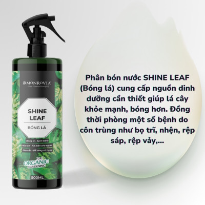 Phân bón trong nhà BÓNG LÁ MONROVIA hữu cơ giúp lá xanh mướt, bóng cho cây cảnh dung tích 500ml