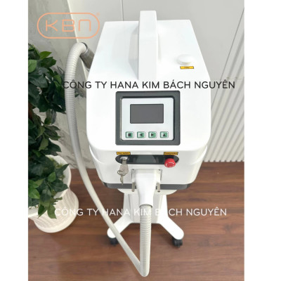 Máy Xóa Xăm Loại Bỏ Sắc Tố Da RG 193+ ND YAG