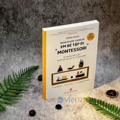 Em Bé Tập Đi Montessori - Montessori Toddler