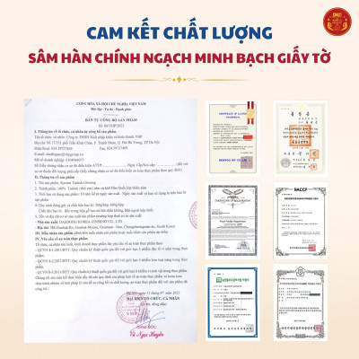 Thái cực sâm củ khô (Thiên sâm) 600g – số 20 (20củ special) – Daedong