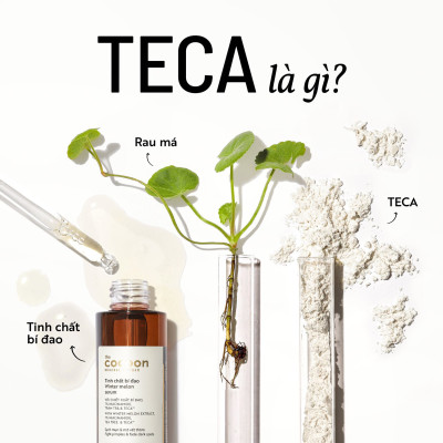 Tinh chất bí đao cocoon 70ml serum Winter melon