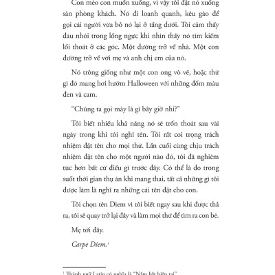 Hồi Ức Vụn Vỡ