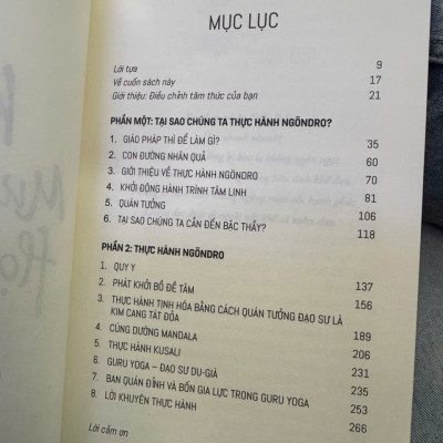 KHÔNG MƯU CẦU HẠNH PHÚC: Một Hướng Dẫn Cho Thực Hành Pháp Sơ Khởi - Dzongsar Jamyang Khyentse – Sen Xanh dịch - Thái Hà Books – NXB Lao Động