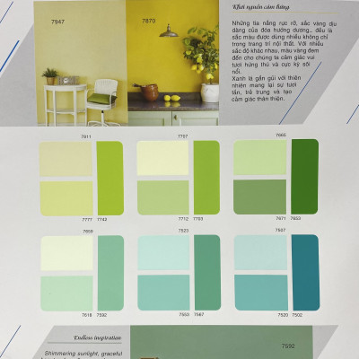 Sơn phào chỉ cho trần nhà Toa 4 Seasons Top Silk  màu C- 7271 _1L