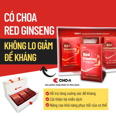 Combo 5 Gói Hồng Sâm Hàn Quốc Red Ginseng Hỗ Trợ Tăng Đề Kháng (5 Gói x 15ml)